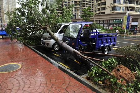 &ldquo;妮妲&rdquo;撲向珠三角 能者橡膠停產(chǎn)一天